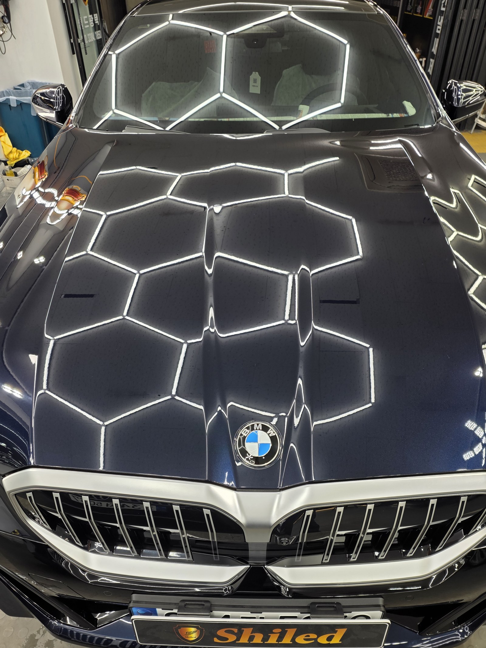 BMW 520i 블루 전면 그릴 클로즈업 - 부산 쉴드광택